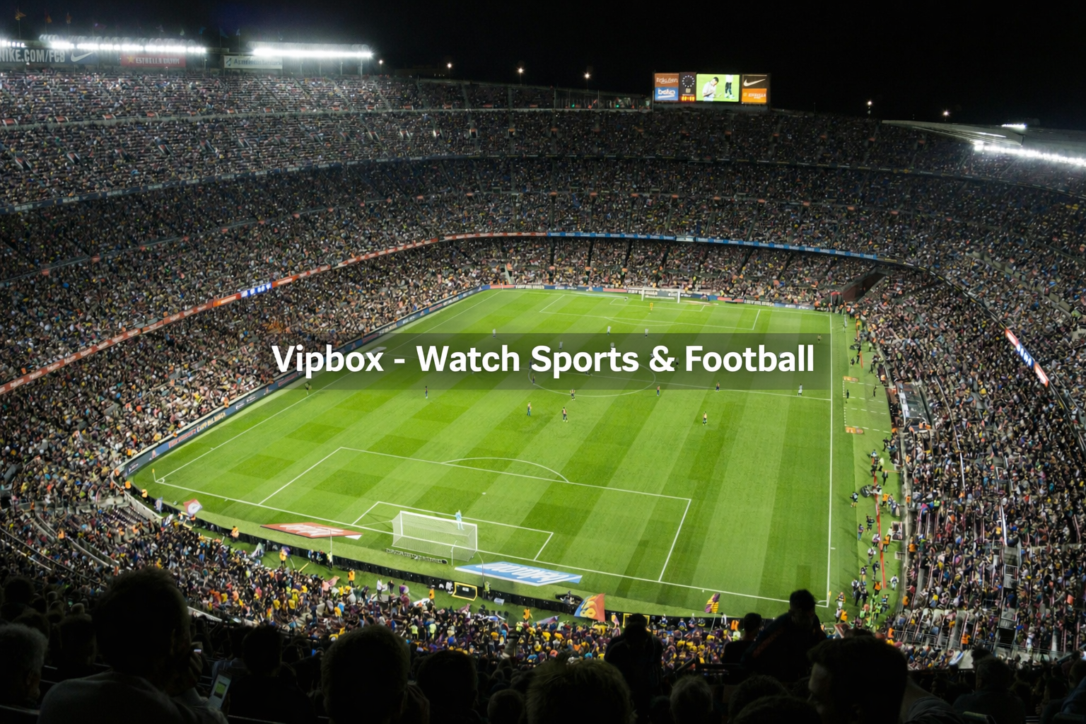 watch live sports online free